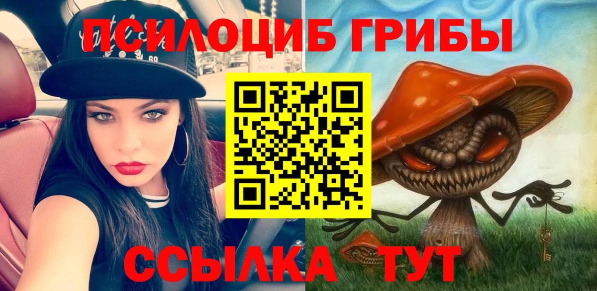 Галлюциногенные грибы мицелий Россия