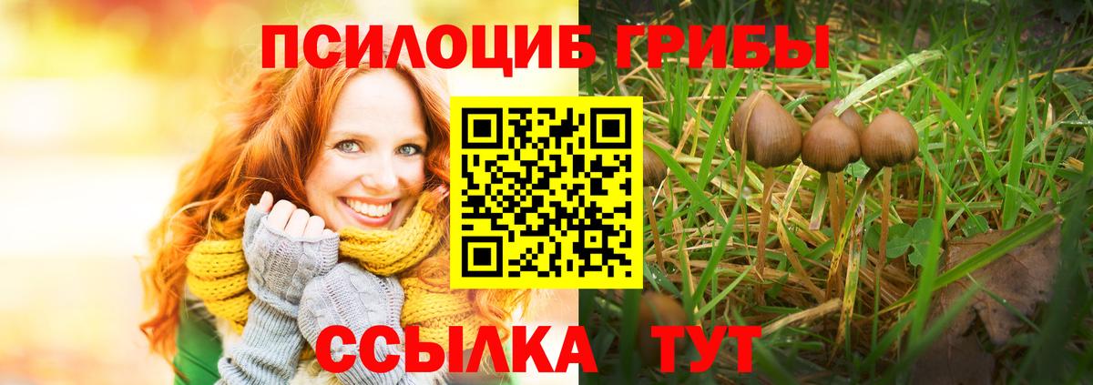 Псилоцибиновые грибы прущие грибы  Псилоцибиновые грибы прущие грибы  Россия  Вход с VPN 